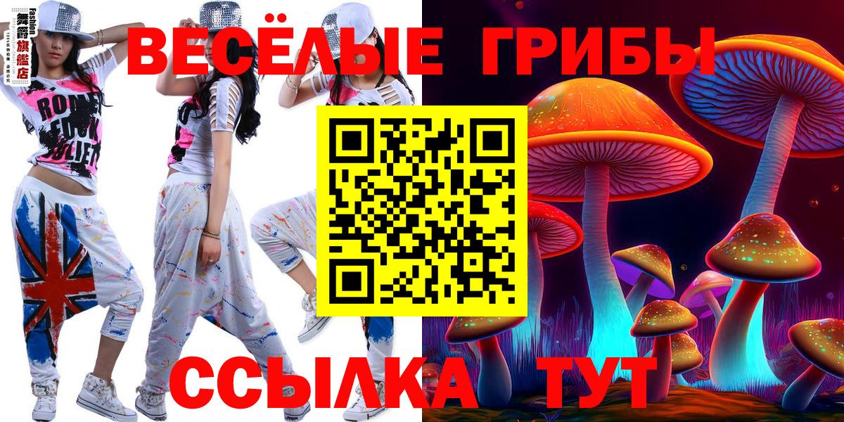 цены   Вход с VPN  Киселёвск  Галлюциногенные грибы Psilocybine cubensis 