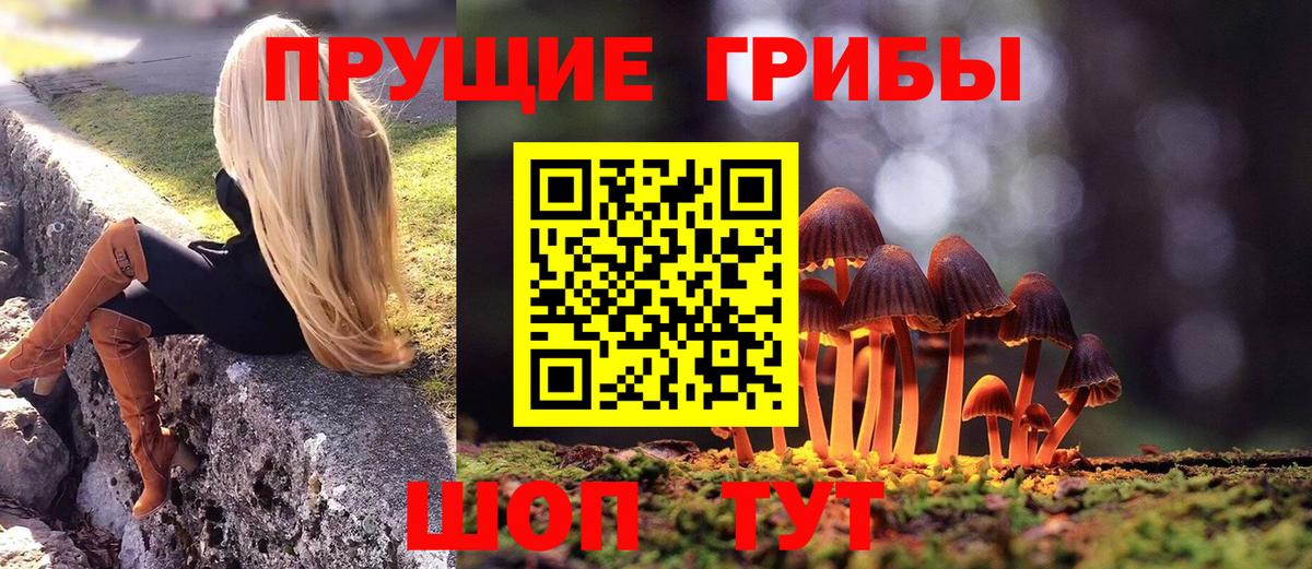 Псилоцибиновые грибы ЛСД Киселёвск